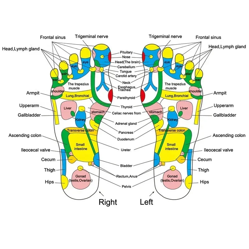 Deep Tissue Massage Tool
