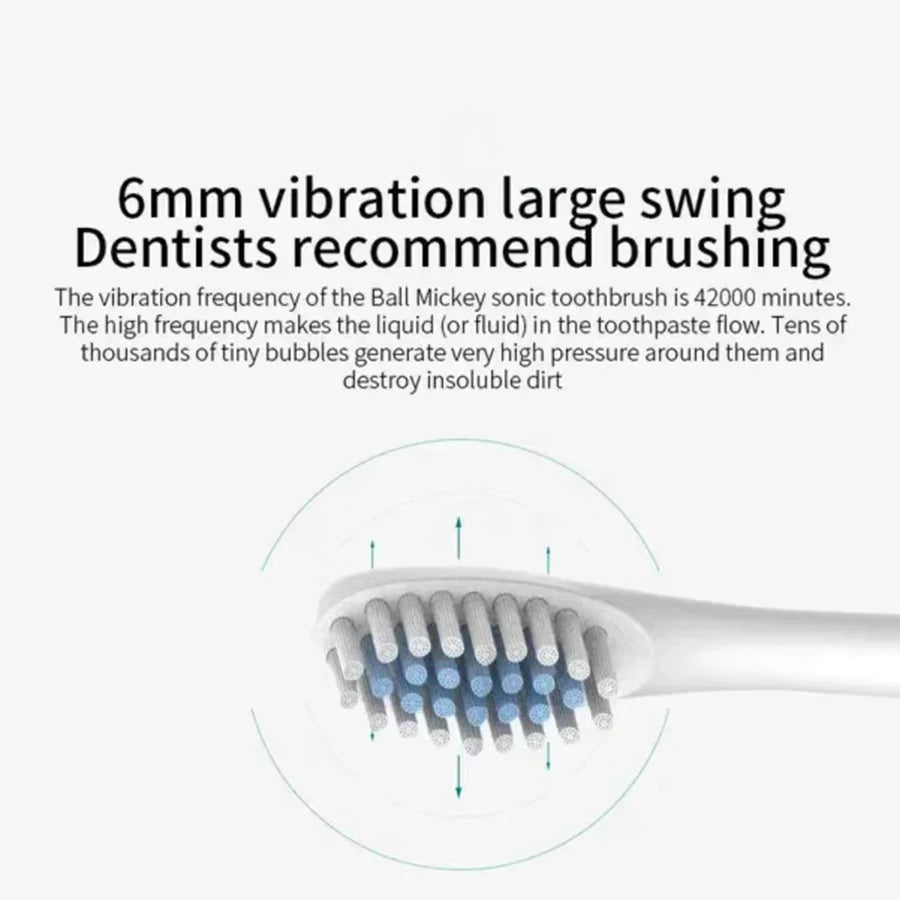Rechargeable Sonic Toothbrush