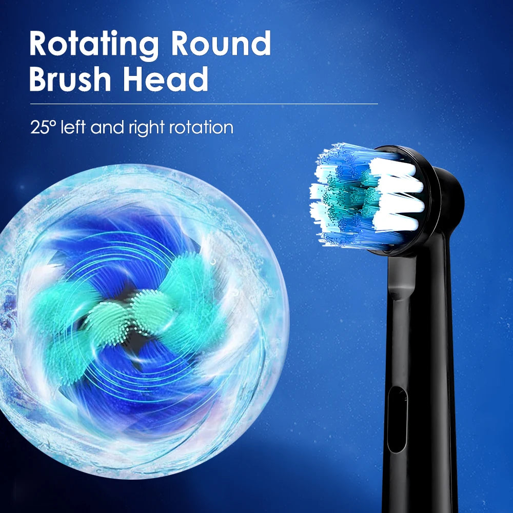 Rotary Electric Toothbrush